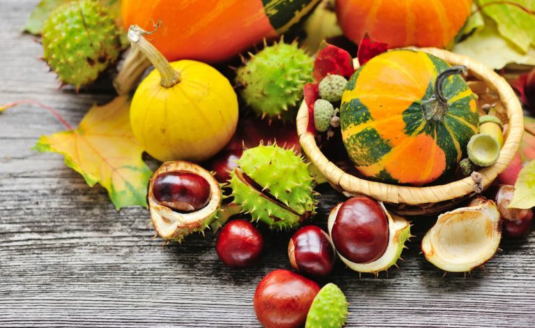 Alergias alimentares outono: o que fazer nesses casos?